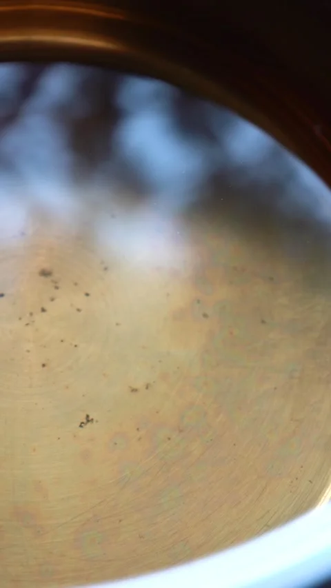 Making Maple and Birch syrup. Tapping Birch and Maple Trees. Stock Footage 283635826