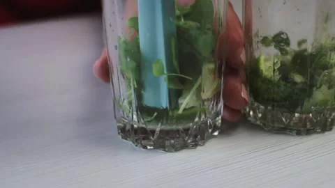 Making mojito cocktail Stock Footage 161470028