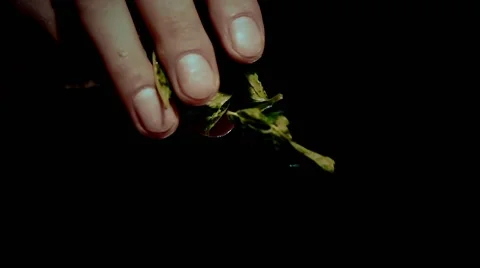 Making mojito in slow motion Stock Footage 67866648