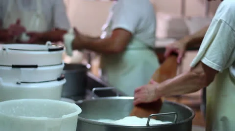 MAKING MOZZARELLA CHEESE 20 MAN'S WORKING Stock Footage 26838705