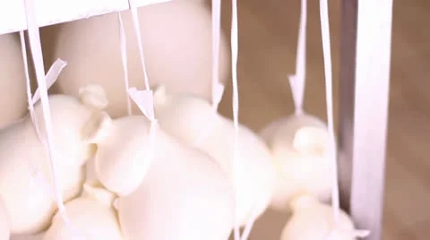 MAKING MOZZARELLA CHEESE 29 Stock Footage 26822598