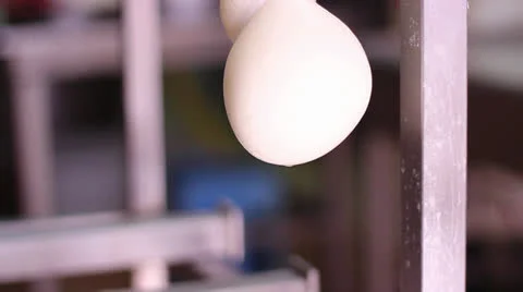 MAKING MOZZARELLA CHEESE 30 Stock Footage 26814835
