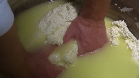 Making Mozzarella Cheese- Diary Cheese Factory Video stock 95806574