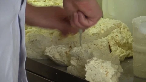 Making Mozzarella Cheese- Diary Cheese Factory Video stock 95806996