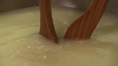 Making Mozzarella Cheese- Diary Cheese Factory Video stock 95946519