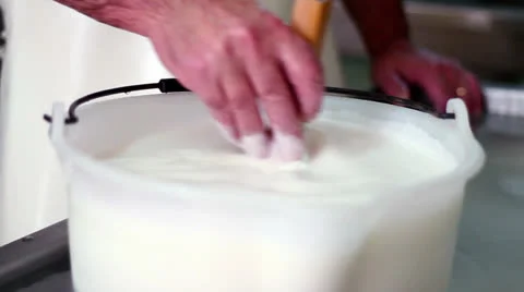 MAKING MOZZARELLA CHEESE MAN WITH THERMOMETER 2 Stock Footage 26754932