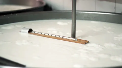 MAKING MOZZARELLA CHEESE THERMOMETER ON THE MILK Stock Footage 26758298