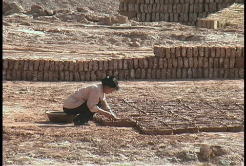 Making mud bricks Stock Footage 274527