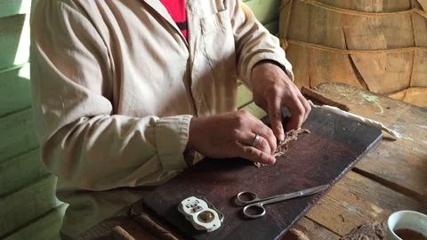 Making Original Cuban Cigar With Local In Vinales, Cuba Stock Footage 116529462