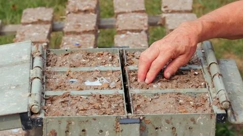 Making Paper Bricks from waste cardboards Stock Footage 205948552