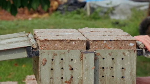 Making Paper Bricks from waste cardboards Stock Footage 207230618
