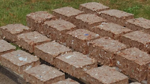 Making Paper Bricks from waste cardboards Stock Footage 207231061