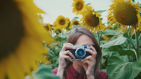 Making photo by analogic camera inside of flower sunflower meadow field garden Stock Footage 98071427