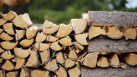 Making pile of logs outdoors Stock Footage 79670628