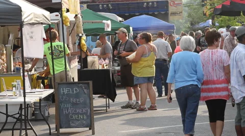Making a purchase at the Fair Stock-Footage 40313865