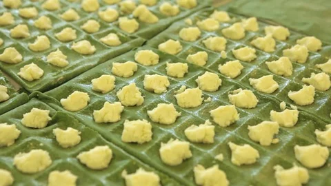 Making ravioli Stock Footage 71377280