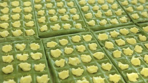 Making ravioli Stockbeeldmateriaal 71377491