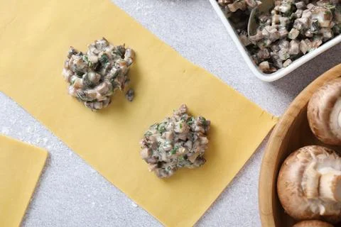 Making ravioli with mushrooms at light table, flat lay 写真素材