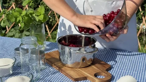 Making Red Currant Jam Stock Footage 313867481