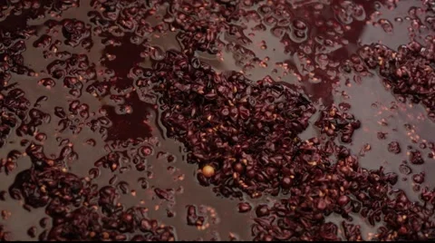 Making red wine (grapes) Stock Footage 890478