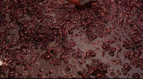 Making red wine mix 库存影片 890488