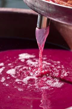 Making of red wine  by winepress Stock Photos
