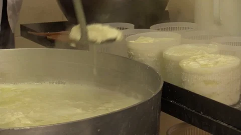 Making Ricotta Cheese- Diary Cheese Factory Video stock 95768708