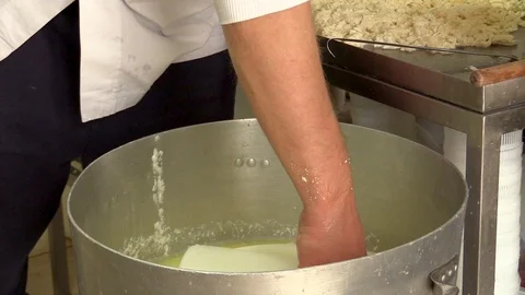 Making Ricotta Cheese- Diary Cheese Factory Video stock 95768860