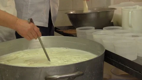Making Ricotta Cheese- Diary Cheese Factory Video stock 95944608