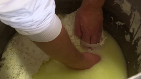 Making Ricotta Cheese- Diary Cheese Factory Video stock 95944609