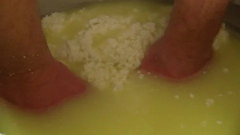 Making Ricotta Cheese- Diary Cheese Factory Video stock 95944671