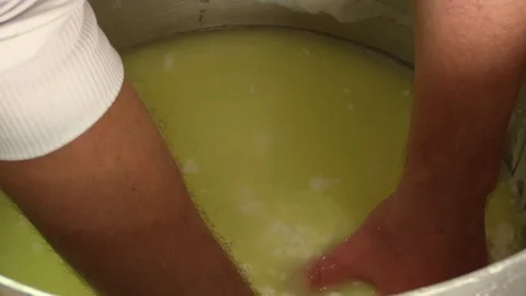 Making Ricotta Cheese- Diary Cheese Factory Stock Footage 95944747