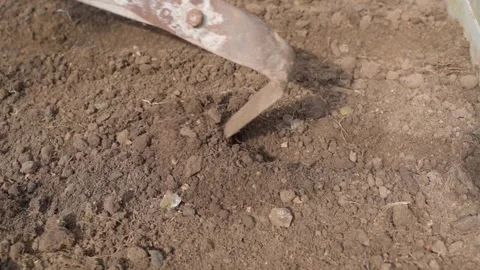 Making rows on garden bed in greenhouse for sowing seeds. Slow motion Video stock 341748819