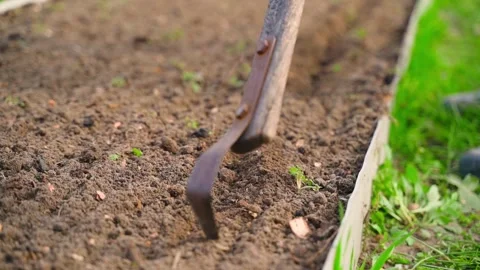 Making rows in garden bed with hand cultivator for seed planting Vídeo Stock 341078921