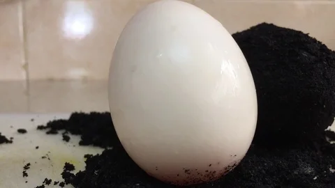 Making Salted Duck Egg  Stock Footage 119222940