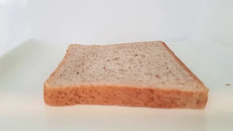 Making a sandwich with tomatoes, ham, cheese. cooking snacks Stock Footage 80995643