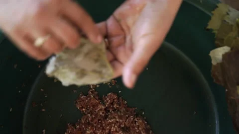 Making Sarmale - Stuffed Vine Leaf Rolls Stock Footage 135679639