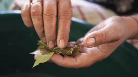 Making Sarmale - Stuffed Vine Leaf Rolls Stock Footage 135681293