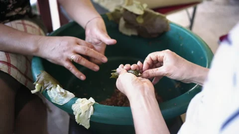 Making Sarmale - Stuffed Vine Leaf Rolls Stock Footage 135691000