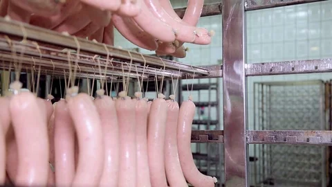 Making sausages Stock Footage 74002647