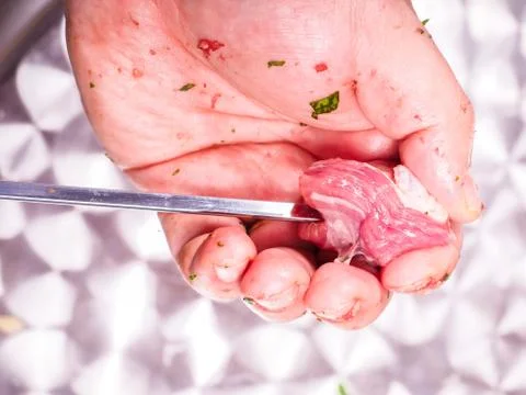 Making of shish kebab Stock Photos