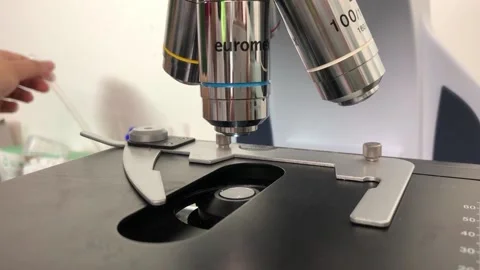 Making slides with a microscope in the laboratory Stock Footage 167117614