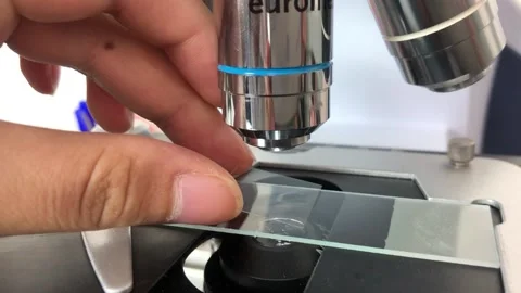 Making slides with a microscope in the laboratory Stock Footage 167117620