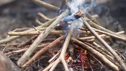 Making a small fire outdoor in the forest with trees branches, dry twigs Stock Footage 120133908