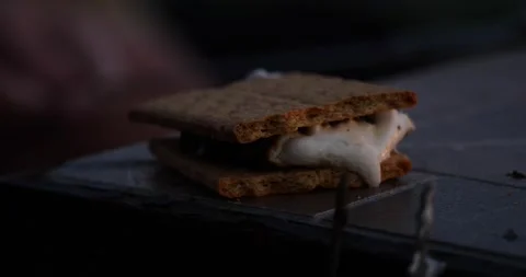 Making s'mores by the campfire at dusk Video stock 281815860