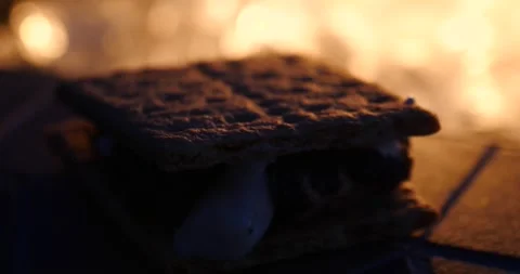 Making s'mores by the campfire at night Stock Footage 281816159