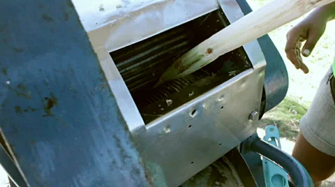 Making Sugarcane Amazon Juice Stock Footage 717399