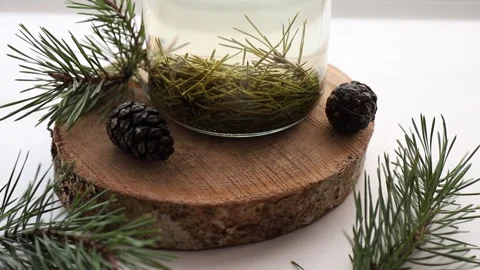 Making syrup of fresh pine needles. 스톡 동영상 262734177