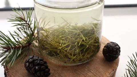 Making syrup of fresh pine needles. Stock-Footage 262734210
