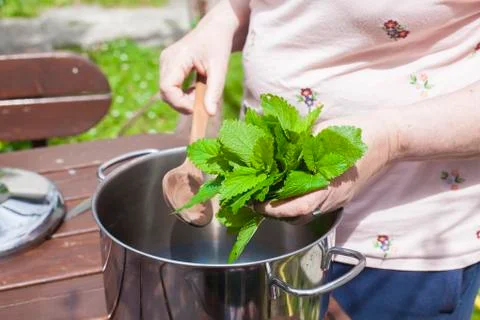 Making of a syrup from herbs Stock Photos